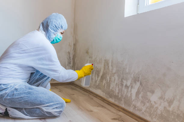 Hvac And Air Duct Mold Remediation inspection of HVAC system in Mill Neck